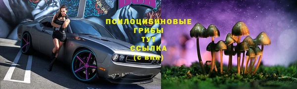 амф Медногорск