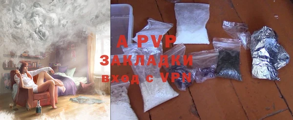 прущие грибы Медвежьегорск