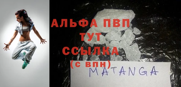 прущие грибы Медвежьегорск