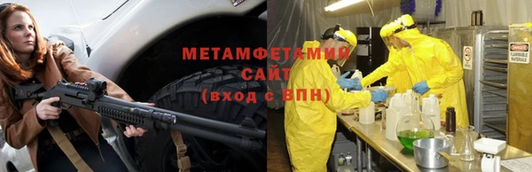 прущие грибы Медвежьегорск