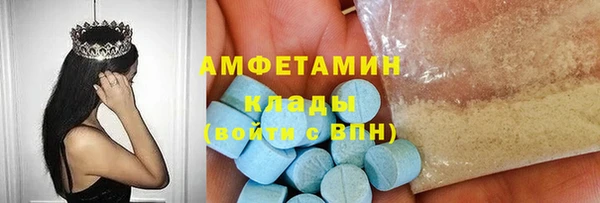 индика Мегион