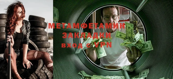 прущие грибы Медвежьегорск