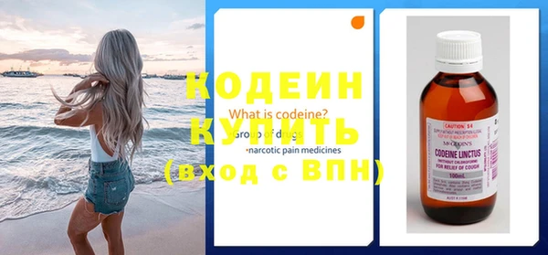 индика Мегион