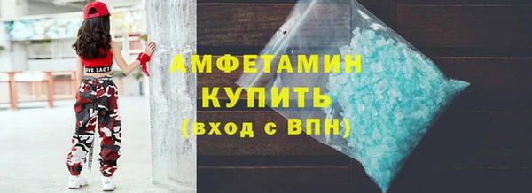 прущие грибы Медвежьегорск
