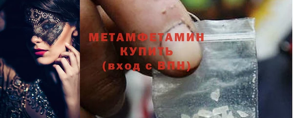 прущие грибы Медвежьегорск