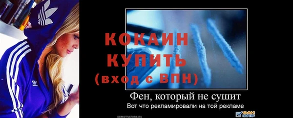 индика Мегион