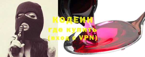 индика Мегион