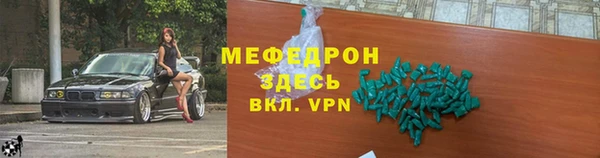 индика Мегион