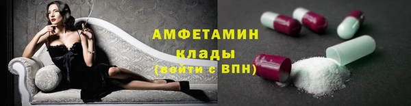 прущие грибы Медвежьегорск