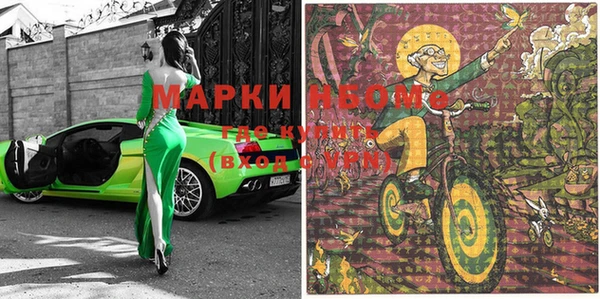 прущие грибы Медвежьегорск