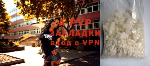 индика Мегион