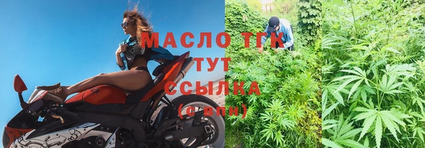 прущие грибы Медвежьегорск