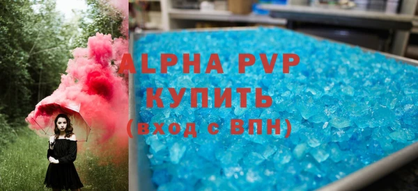 индика Мегион
