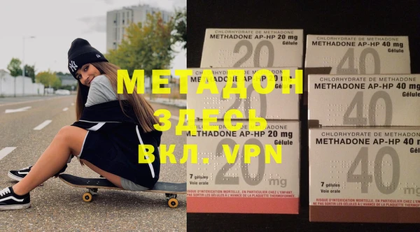 прущие грибы Медвежьегорск