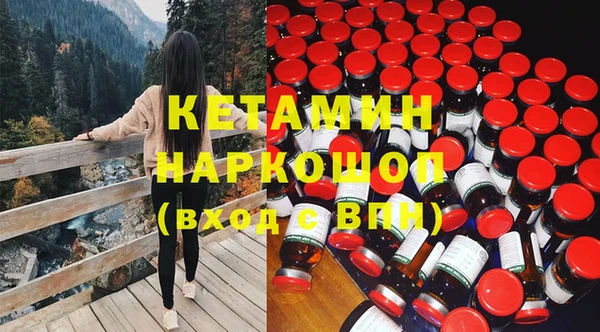 прущие грибы Медвежьегорск