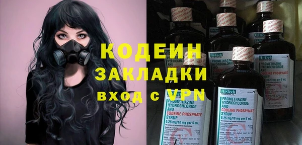 индика Мегион