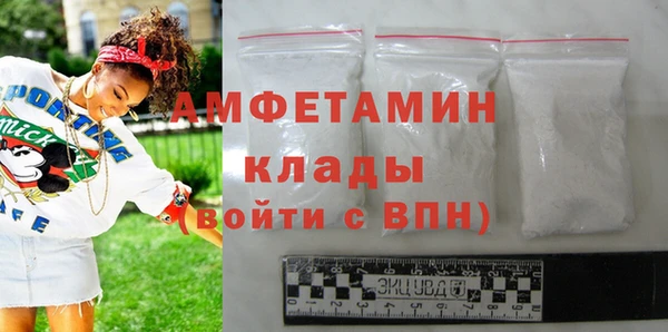 индика Мегион