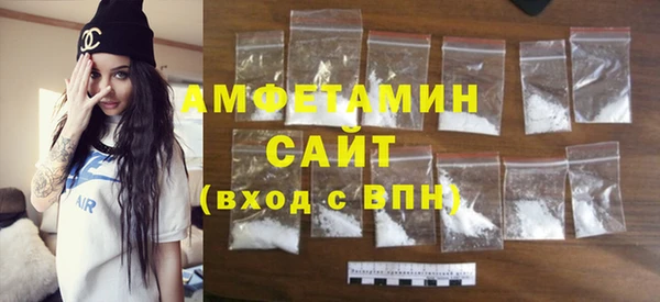 индика Мегион