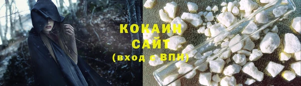 индика Мегион